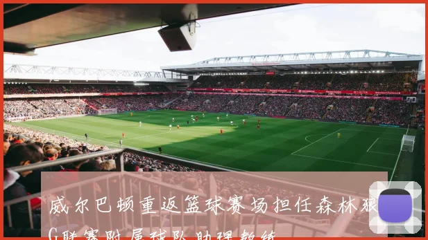 威尔巴顿重返篮球赛场担任森林狼G联赛附属球队助理教练