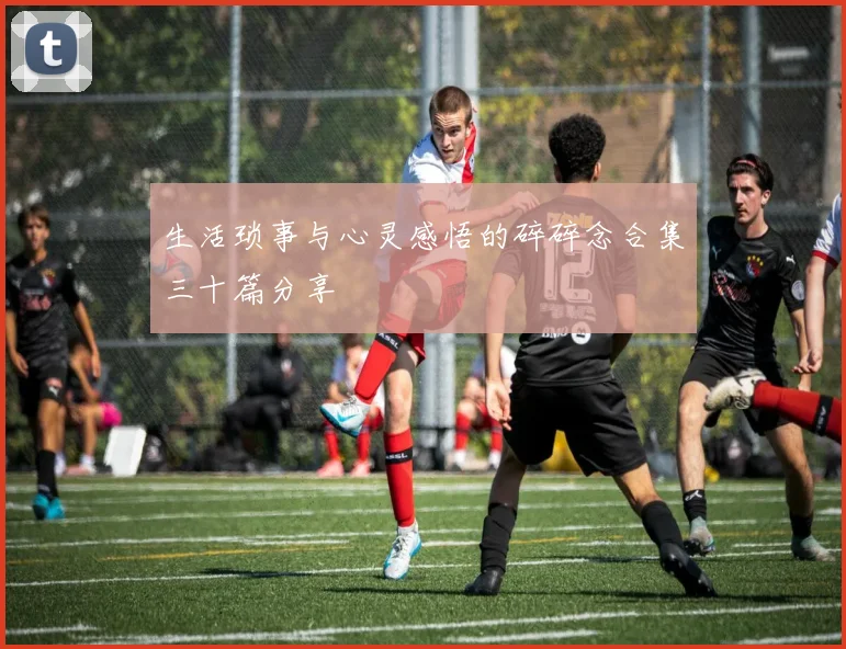 生活琐事与心灵感悟的碎碎念合集三十篇分享
