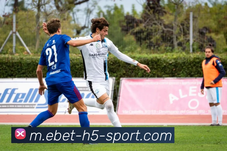 易倍体育APP 体育赛事宣传图